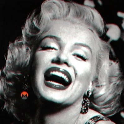 Marilyn / Monero across four techniques